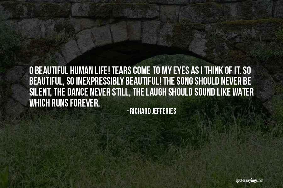 Be Like Water Quotes By Richard Jefferies