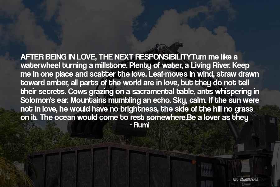 Be Like Water Quotes By Rumi Be Like Water Quotes By Rumi