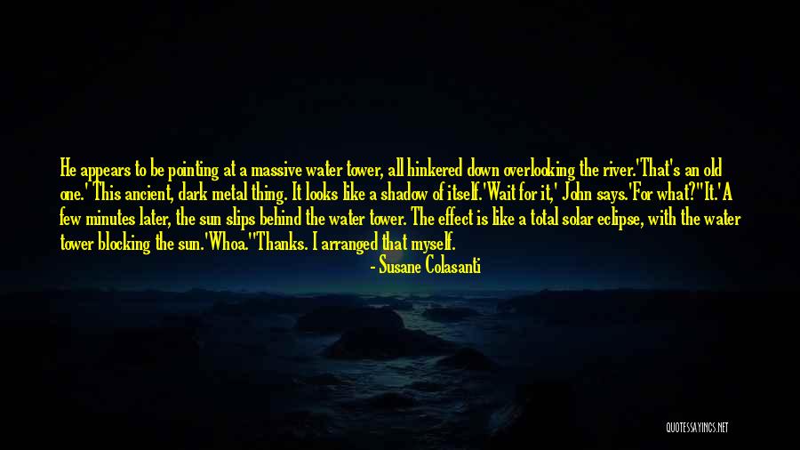 Be Like Water Quotes By Susane Colasanti