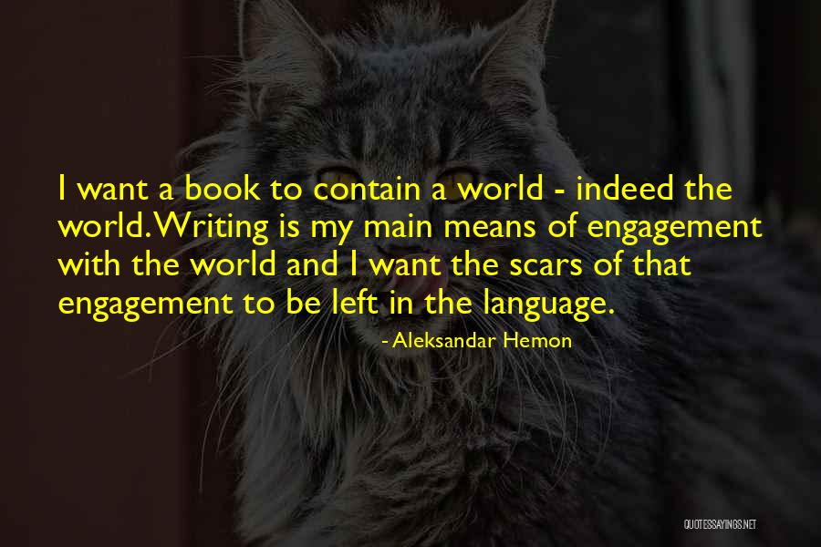 Be Mean Quotes By Aleksandar Hemon