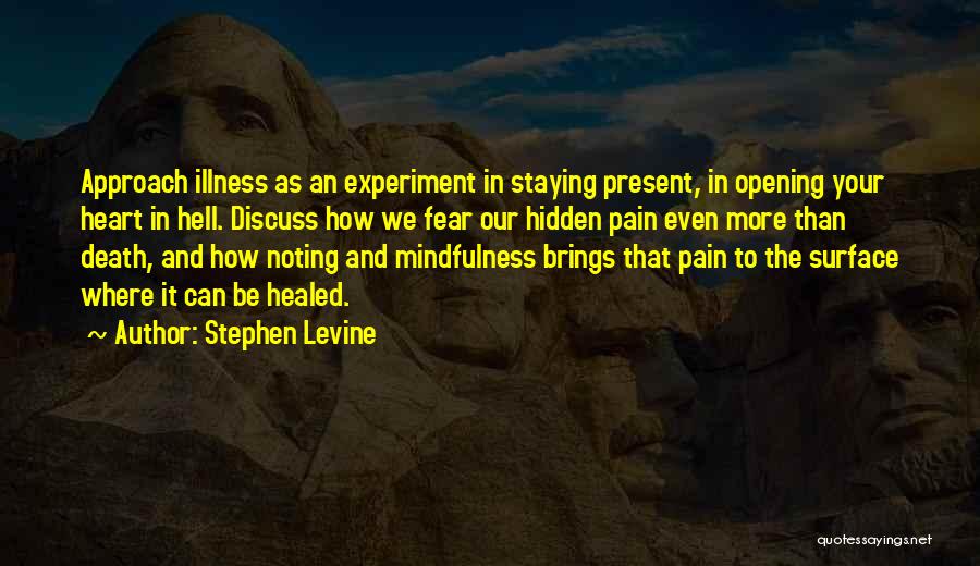 Be More Present Quotes By Stephen Levine