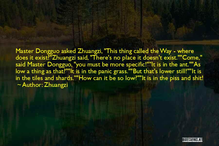 Be More Specific Quotes By Zhuangzi