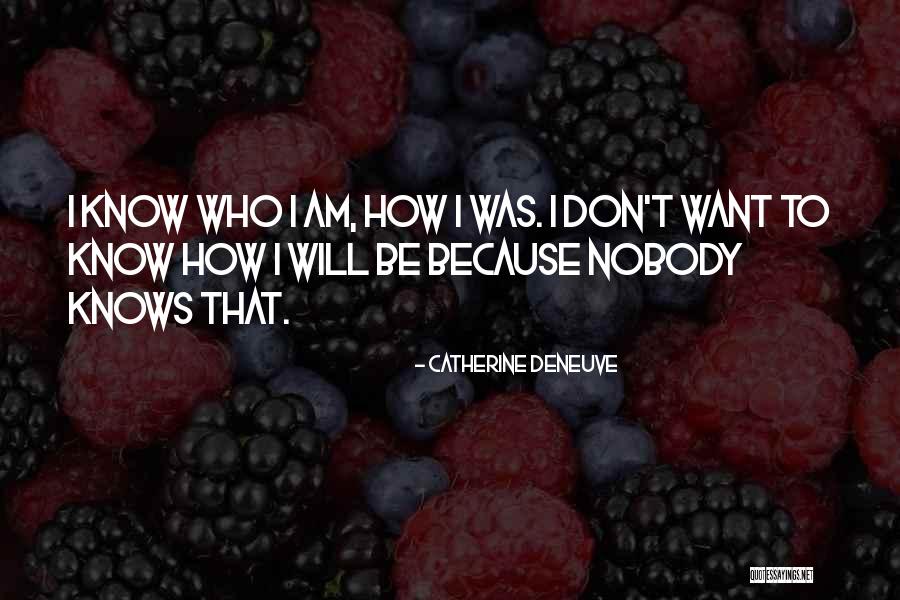 Be Nobody Quotes By Catherine Deneuve Be Nobody Quotes By Catherine Deneuve