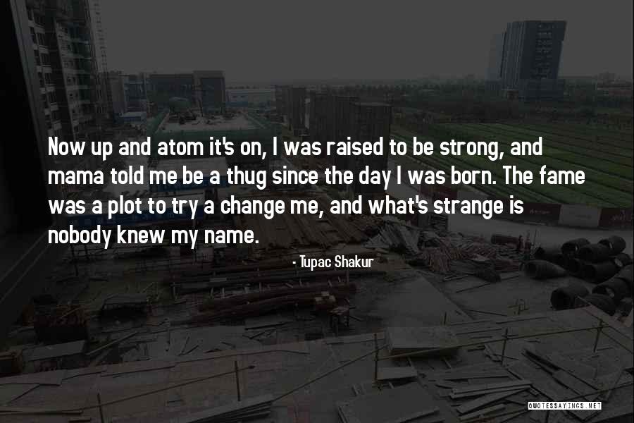 Be Nobody Quotes By Tupac Shakur Be Nobody Quotes By Tupac Shakur