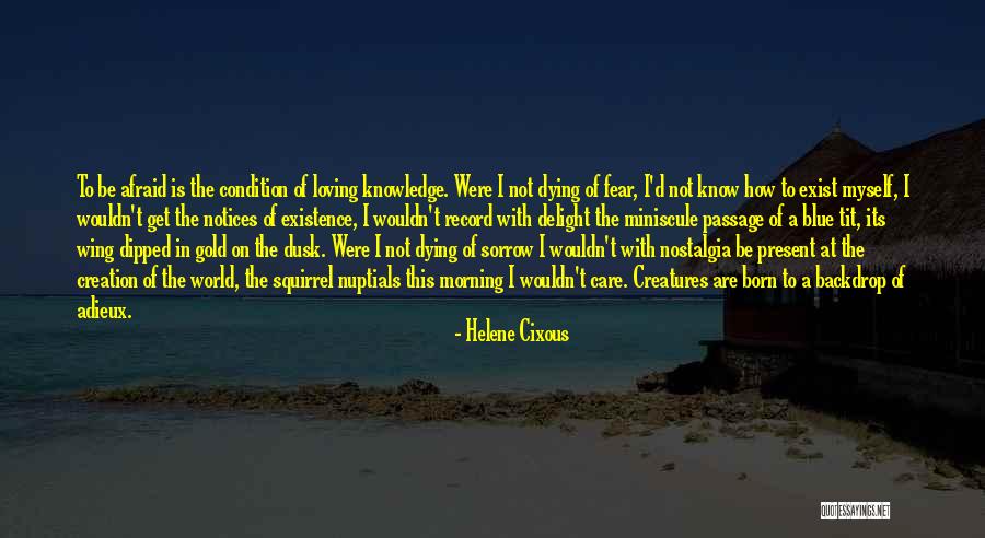 Be Not Afraid Quotes By Helene Cixous Be Not Afraid Quotes By Helene Cixous
