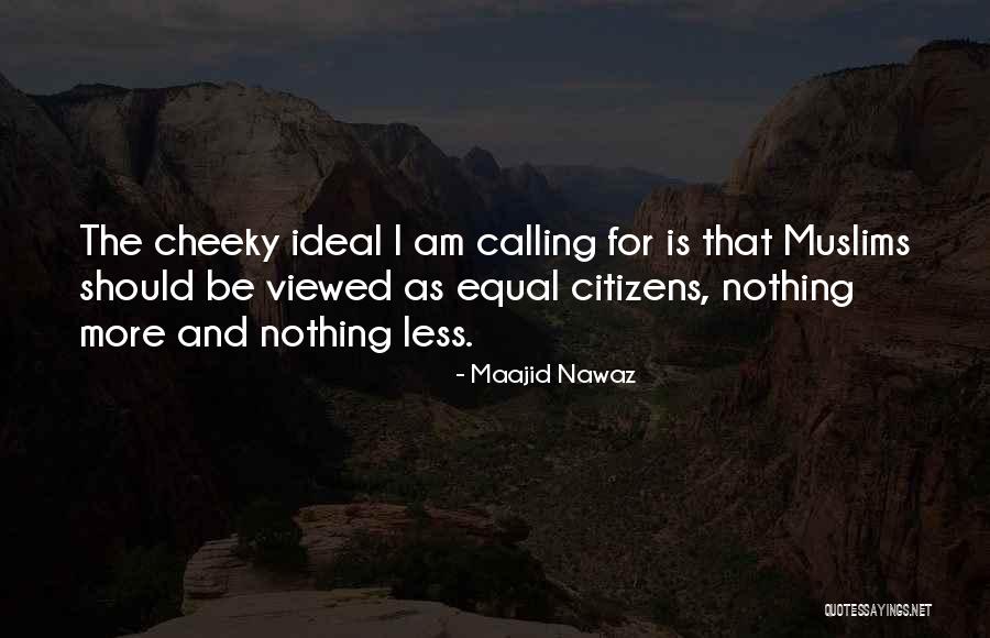 Be Nothing Quotes By Maajid Nawaz