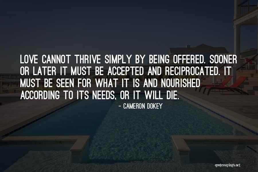 Be Nourished Quotes By Cameron Dokey Be Nourished Quotes By Cameron Dokey