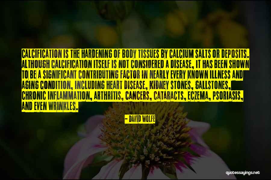 Be Nutrition Quotes By David Wolfe Be Nutrition Quotes By David Wolfe