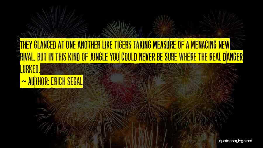 Be One Of A Kind Quotes By Erich Segal