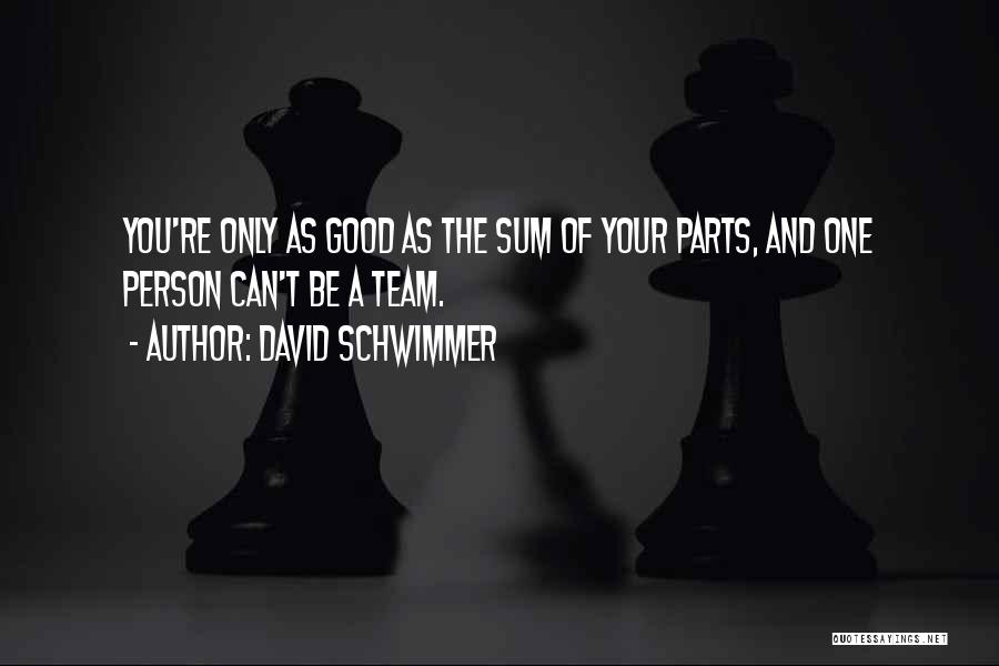 Be One Team Quotes By David Schwimmer