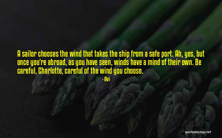 Be Safe Be Careful Quotes By Avi Be Safe Be Careful Quotes By Avi