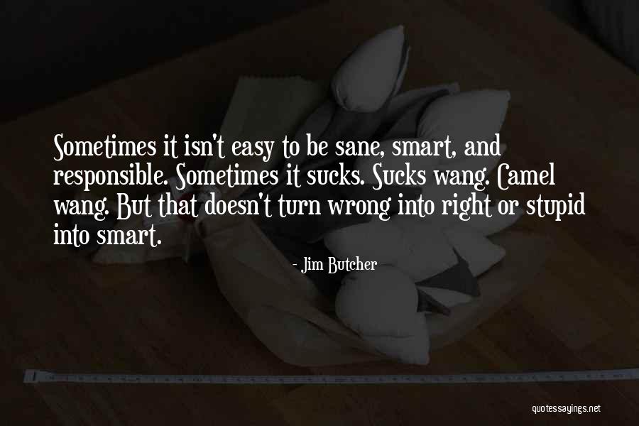 Be Sane Quotes By Jim Butcher Be Sane Quotes By Jim Butcher