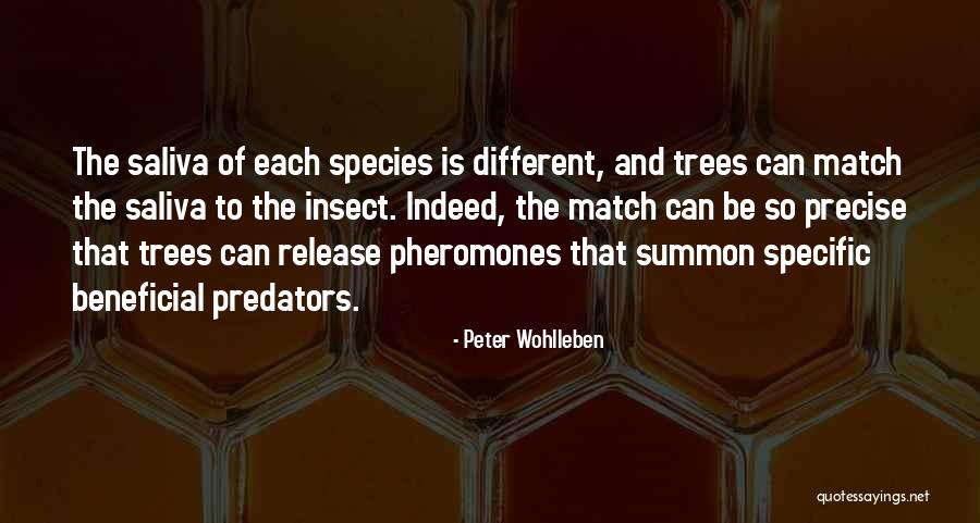 Be Specific Quotes By Peter Wohlleben Be Specific Quotes By Peter Wohlleben