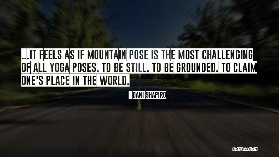 Be Still Yoga Quotes By Dani Shapiro Be Still Yoga Quotes By Dani Shapiro