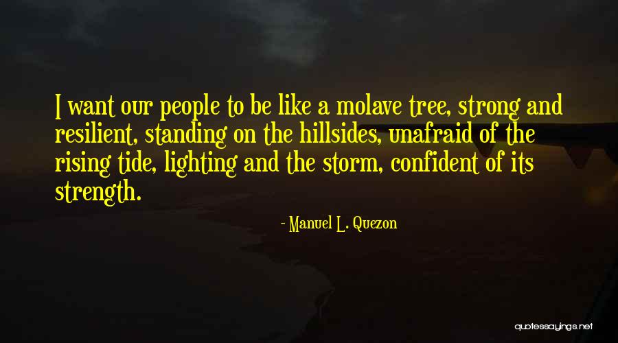 Be Strong And Confident Quotes By Manuel L. Quezon Be Strong And Confident Quotes By Manuel L. Quezon