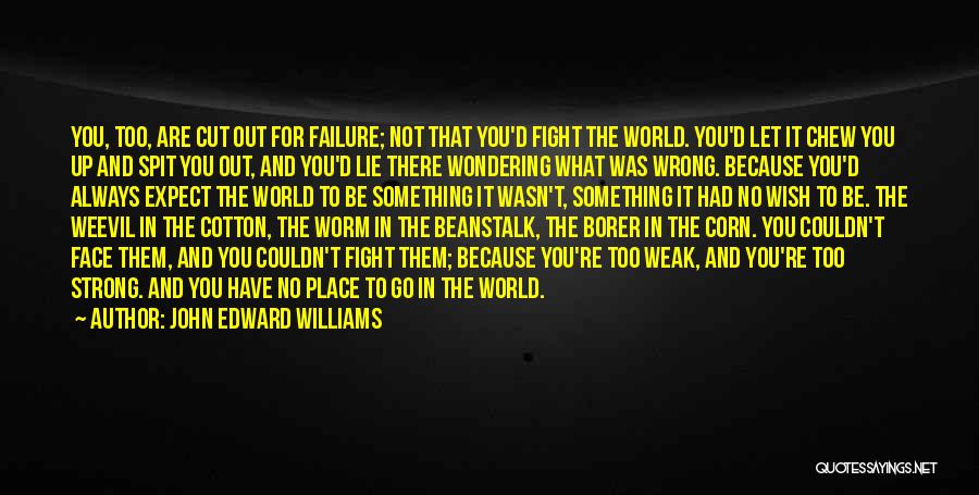 Be Strong And Fight Quotes By John Edward Williams