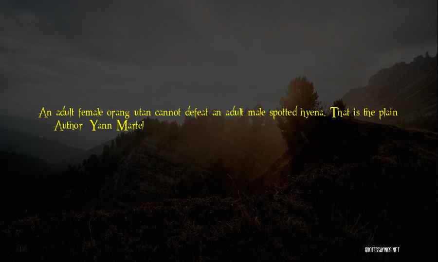Be Strong My Heart Quotes By Yann Martel