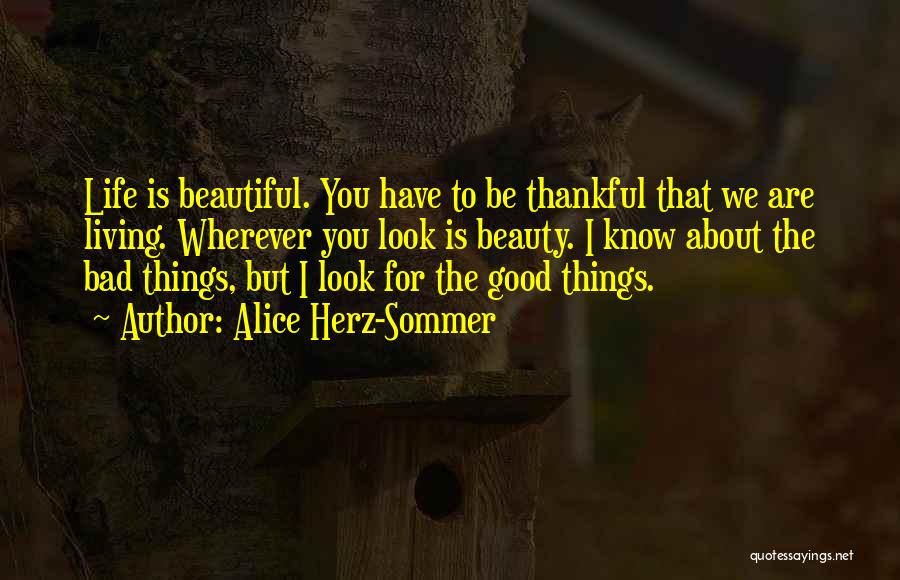 Be Thankful For The Things You Have Quotes By Alice Herz-Sommer