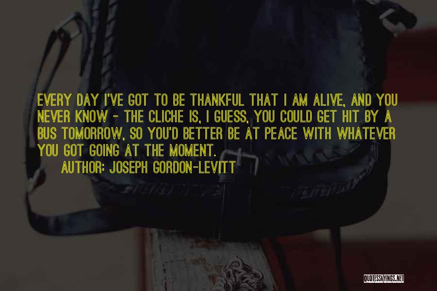 Be Thankful For The Things You Have Quotes By Joseph Gordon-Levitt