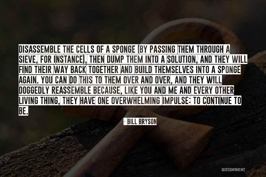 Be The Solution Quotes By Bill Bryson Be The Solution Quotes By Bill Bryson