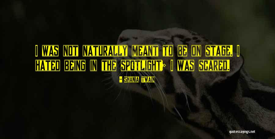 Be The Spotlight Quotes By Shania Twain Be The Spotlight Quotes By Shania Twain