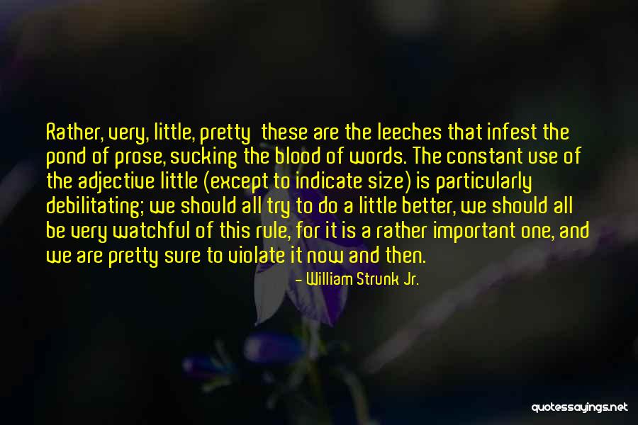 Be Watchful Quotes By William Strunk Jr. Be Watchful Quotes By William Strunk Jr.