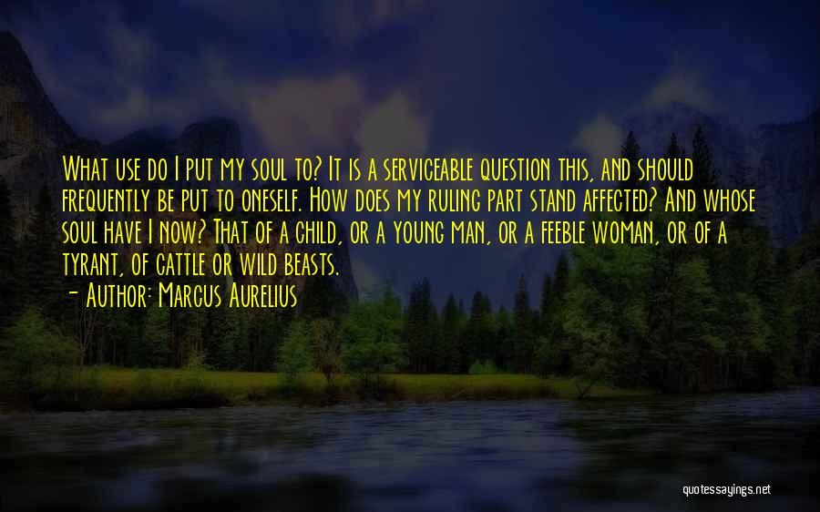 Be Young And Wild Quotes By Marcus Aurelius