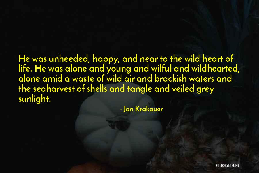 Be Young Wild And Free Quotes By Jon Krakauer