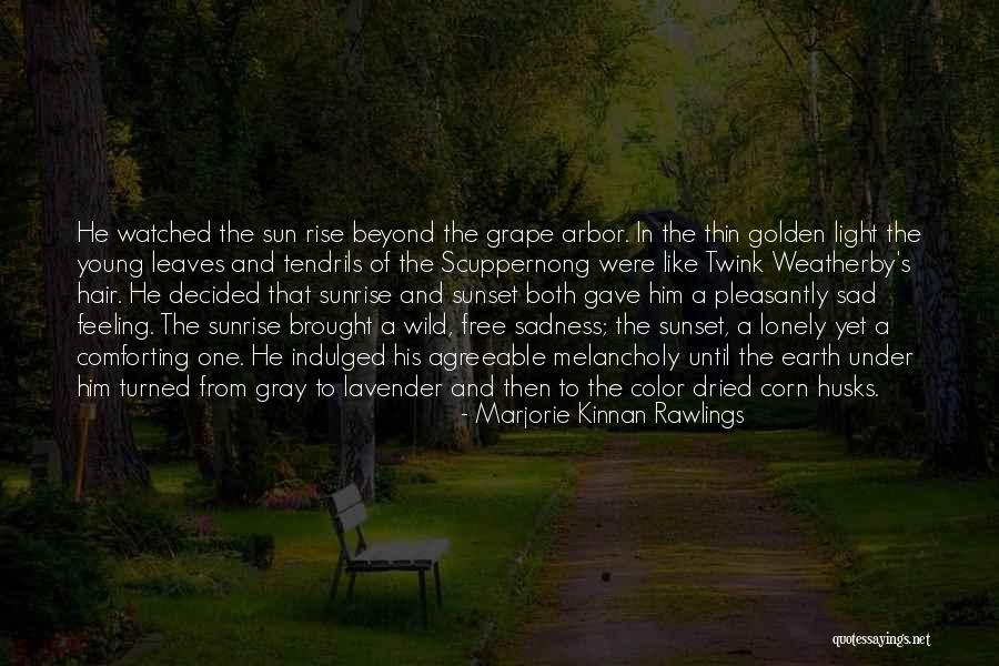 Be Young Wild And Free Quotes By Marjorie Kinnan Rawlings Be Young Wild And Free Quotes By Marjorie Kinnan Rawlings