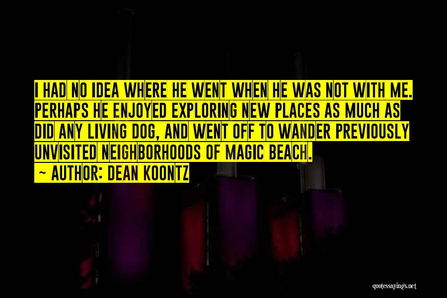 Beach And Dog Quotes By Dean Koontz