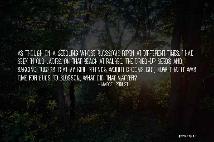 Beach And Girl Quotes By Marcel Proust Beach And Girl Quotes By Marcel Proust
