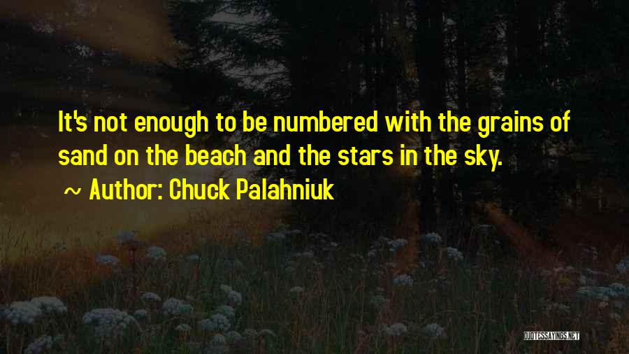 Beach And Sand Quotes By Chuck Palahniuk