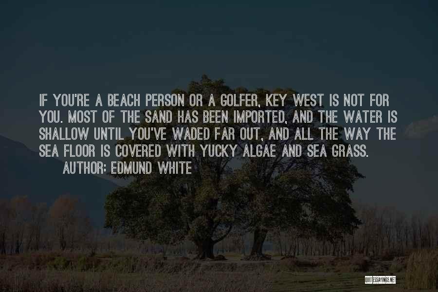 Beach And Sand Quotes By Edmund White