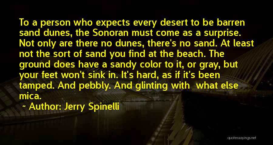 Beach And Sand Quotes By Jerry Spinelli