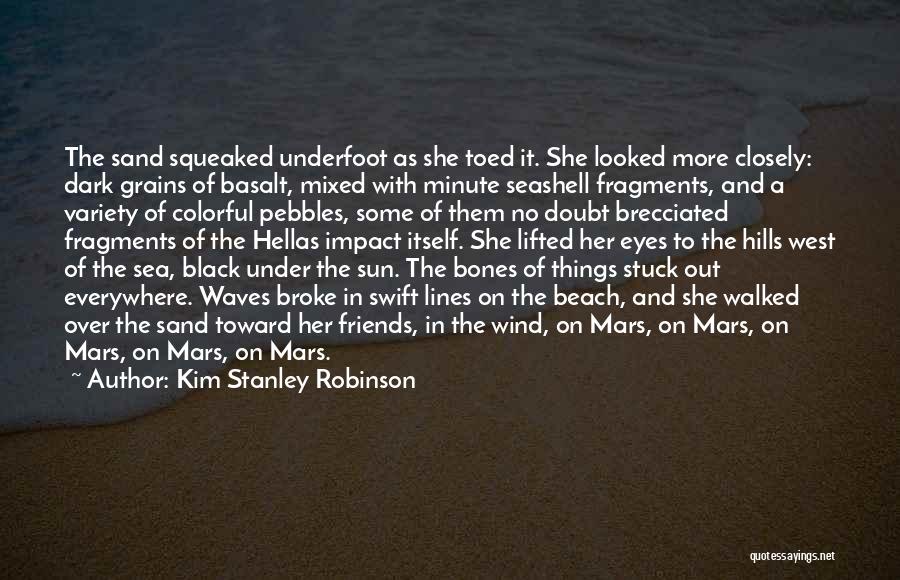 Beach And Sand Quotes By Kim Stanley Robinson