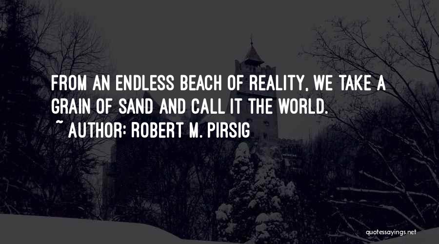 Beach And Sand Quotes By Robert M. Pirsig