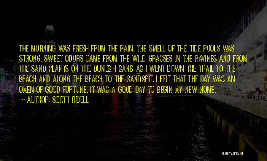 Beach And Sand Quotes By Scott O'Dell