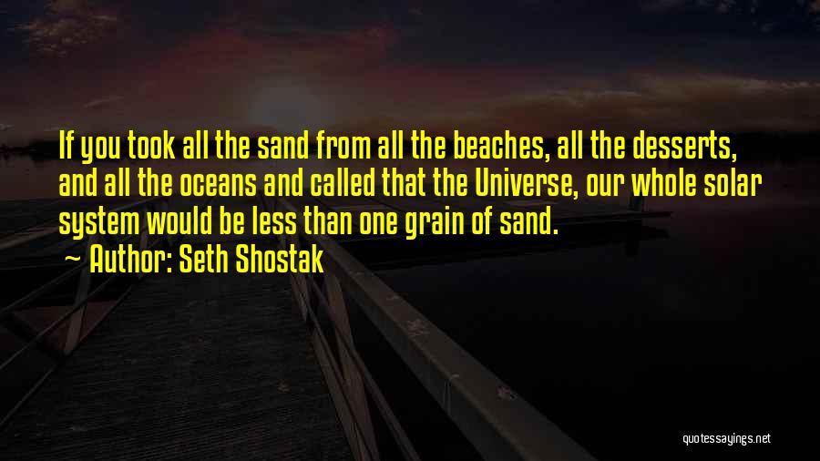 Beach And Sand Quotes By Seth Shostak