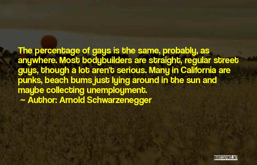 Beach And Sun Quotes By Arnold Schwarzenegger