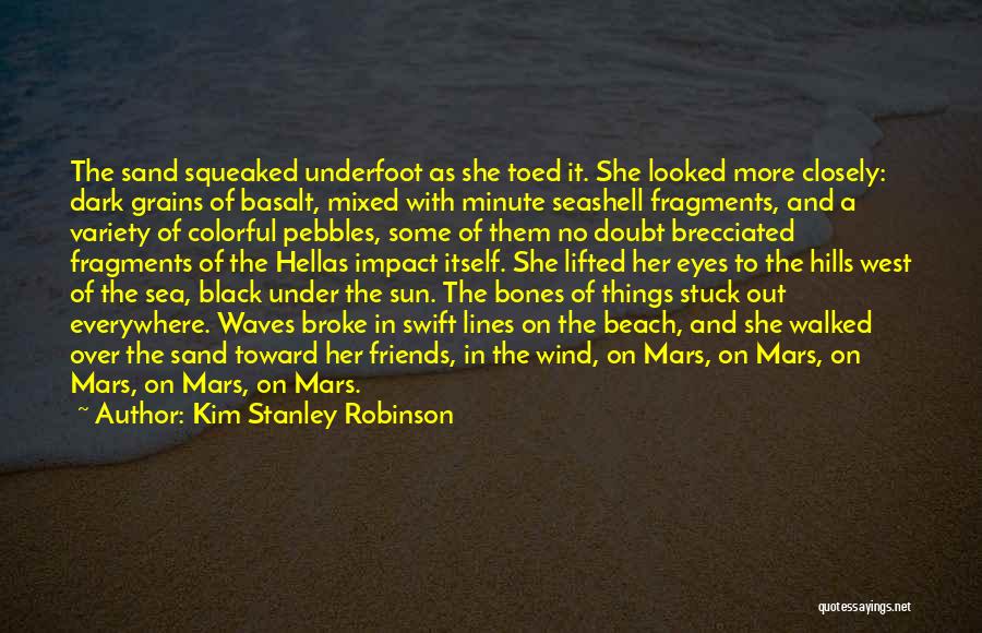 Beach And Sun Quotes By Kim Stanley Robinson