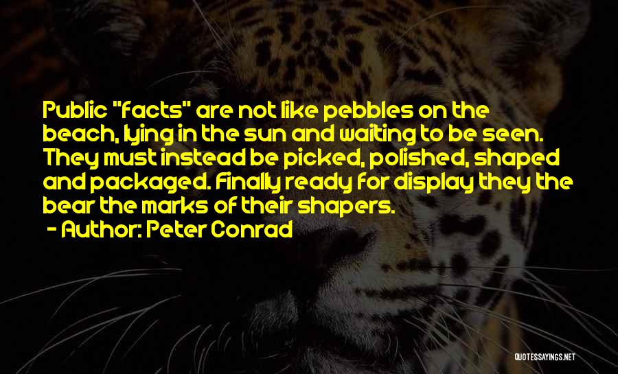 Beach And Sun Quotes By Peter Conrad