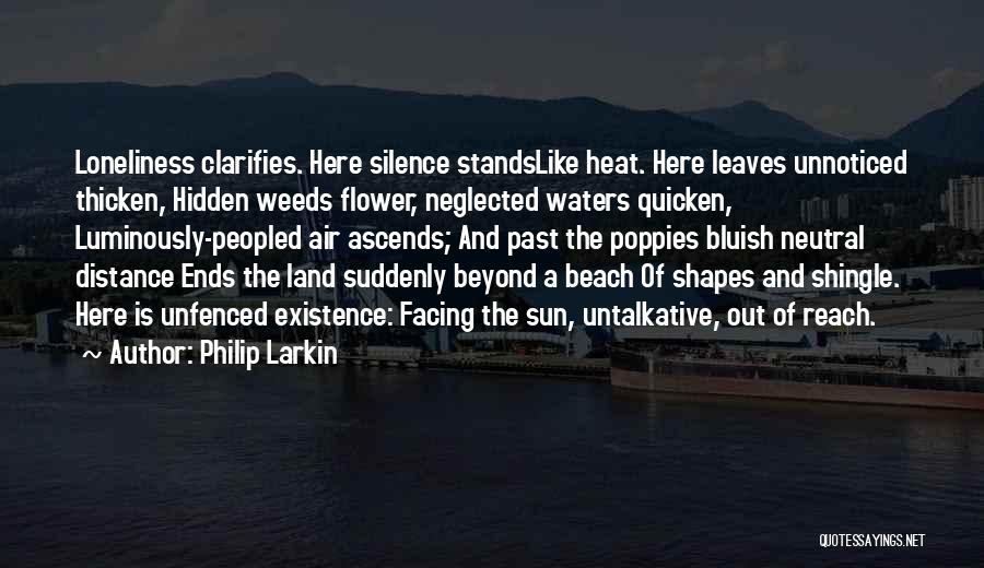 Beach And Sun Quotes By Philip Larkin