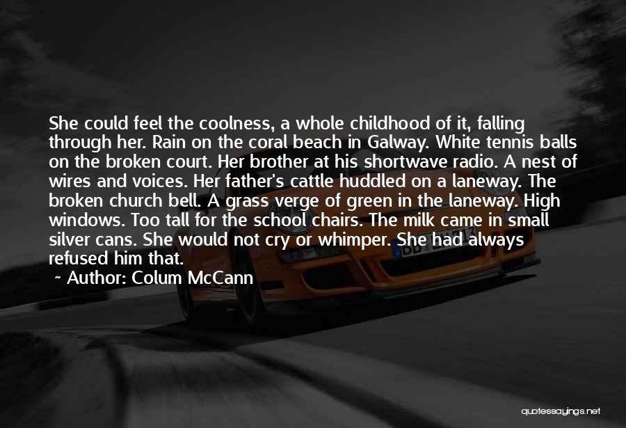 Beach Balls Quotes By Colum McCann