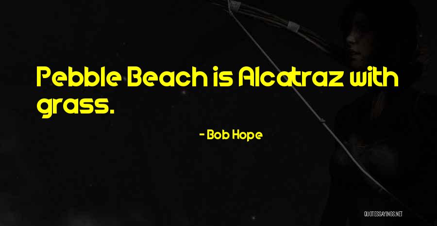 Beach Pebble Quotes By Bob Hope