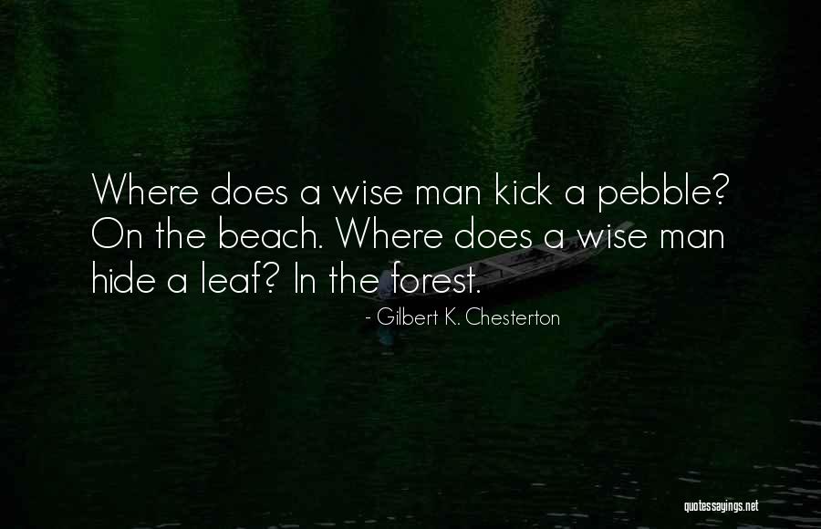 Beach Pebble Quotes By Gilbert K. Chesterton