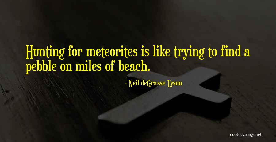 Beach Pebble Quotes By Neil DeGrasse Tyson