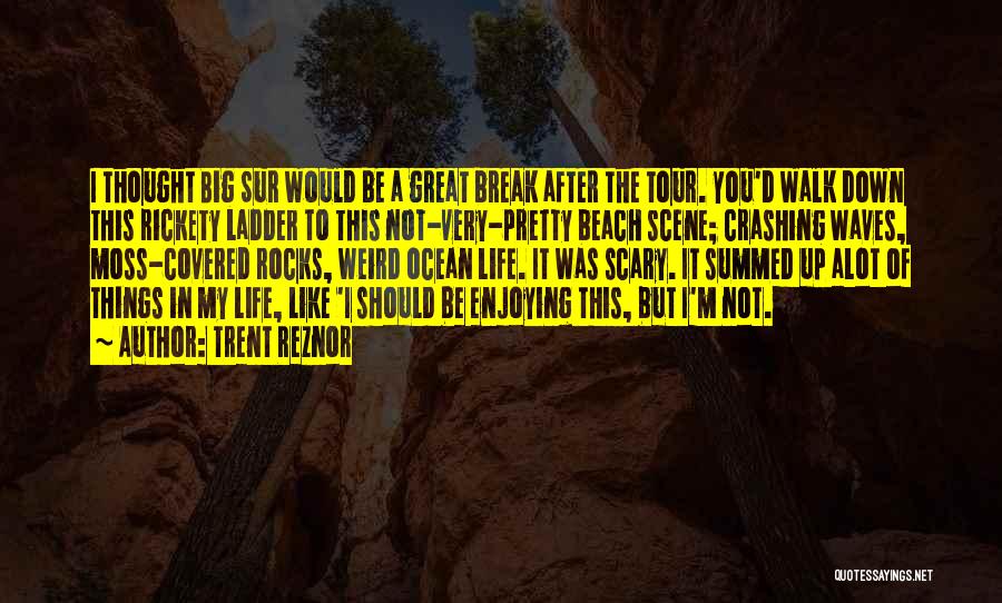 Beach Rocks Quotes By Trent Reznor