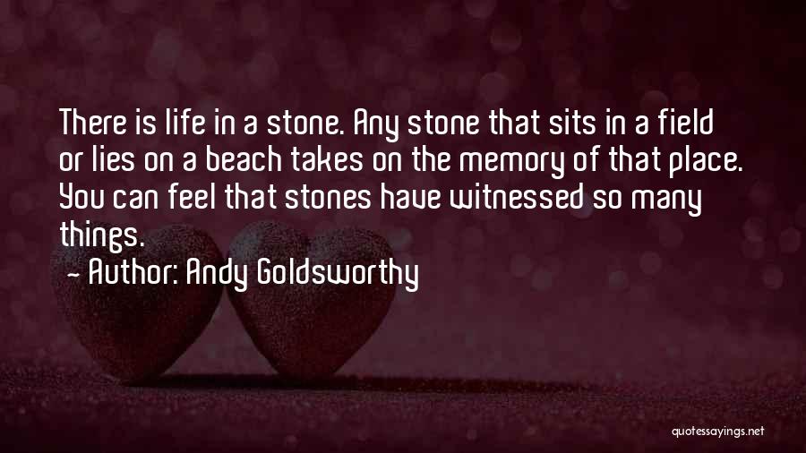 Beach Stones Quotes By Andy Goldsworthy