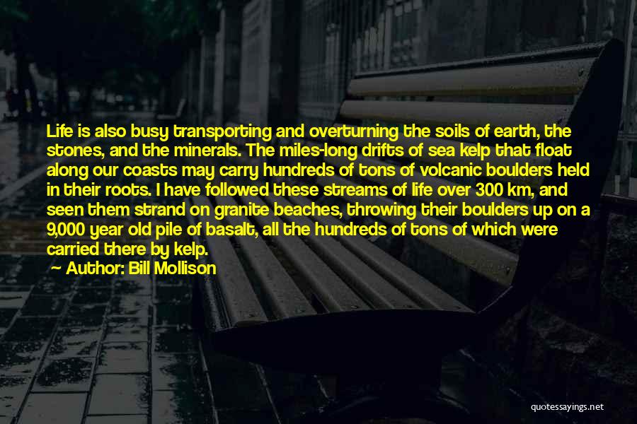 Beach Stones Quotes By Bill Mollison