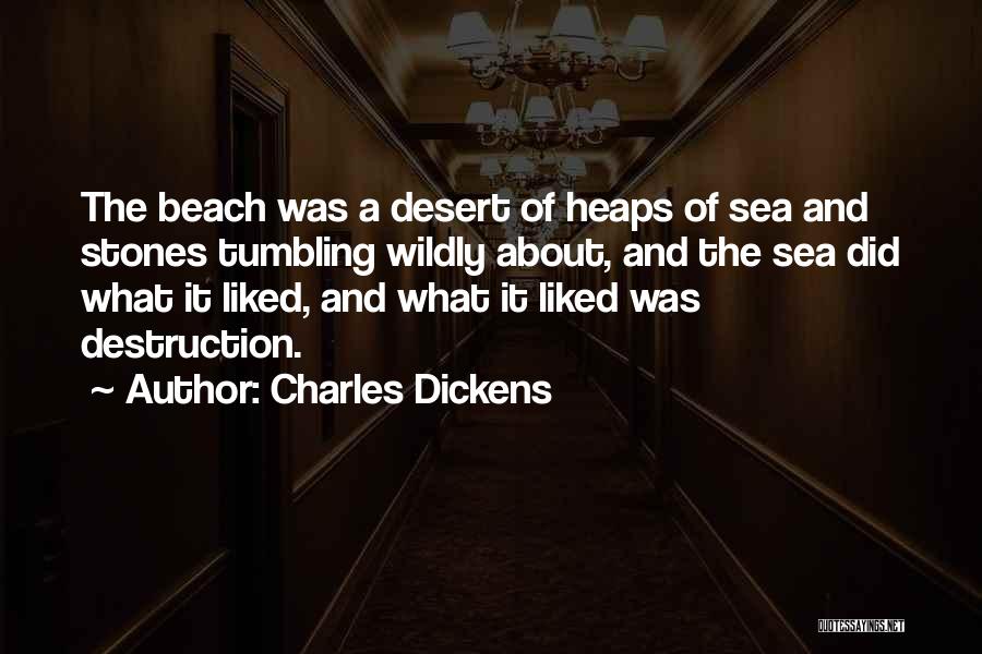Beach Stones Quotes By Charles Dickens